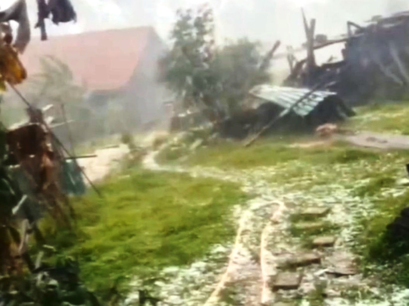 Trận mưa đá cường độ lớn kèm gió giật cấp 8 tuy không gây thiệt hại về người, nhưng đã làm hư hại khá nhiều hoa màu, cây cối. Ảnh: CTV