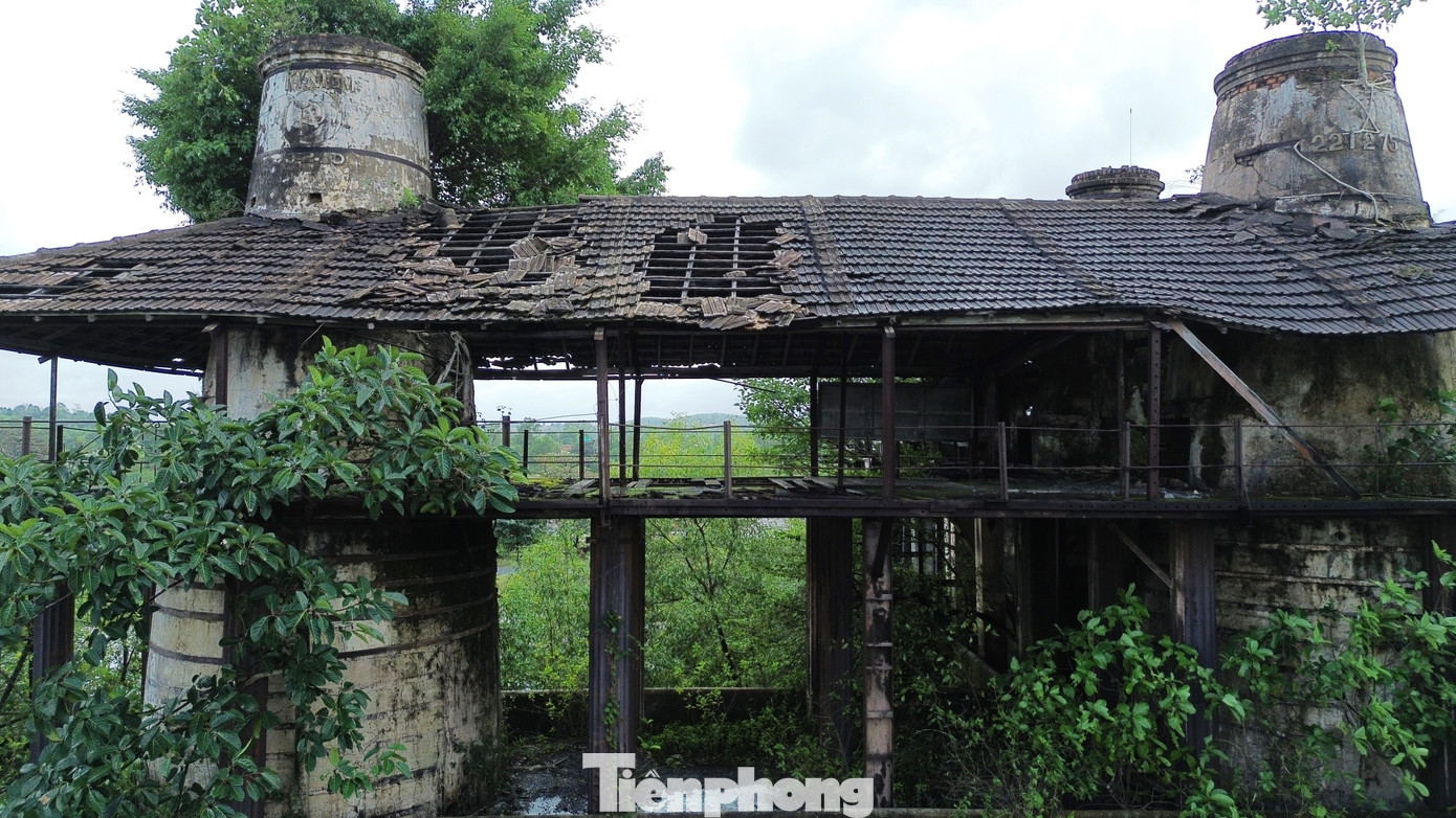 Sản phẩm do nhà máy sản xuất nhằm giải quyết nhu cầu vật liệu khi thực dân Pháp đẩy mạnh xây dựng hạ tầng cơ sở phục vụ chính quyền cai trị tại miền Trung sau năm 1885. Đến năm 1915, Xí nghiệp vôi nước Long Thọ của Bogaert bị sáp nhập vào Công ty vôi nước Long Thọ. Sau đó, nhà máy có vài lần ngưng hoạt động.