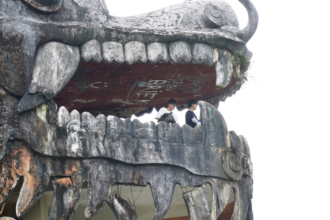 Tuy nhiên, có ý kiến khác lại cho rằng, dù đây là một “kiệt tác” kiến trúc rồng có một không hai tại Huế cũng như những nơi khác, đập bỏ công trình là điều đáng tiếc, nhưng phải làm để bàn giao mặt bằng sạch cho thành phố tổ chức thành công viên. Tuy nhiên, có ý kiến khác lại cho rằng, dù đây là một “kiệt tác” kiến trúc rồng có một không hai tại Huế cũng như những nơi khác, đập bỏ công trình là điều đáng tiếc, nhưng phải làm để bàn giao mặt bằng sạch cho thành phố tổ chức thành công viên.