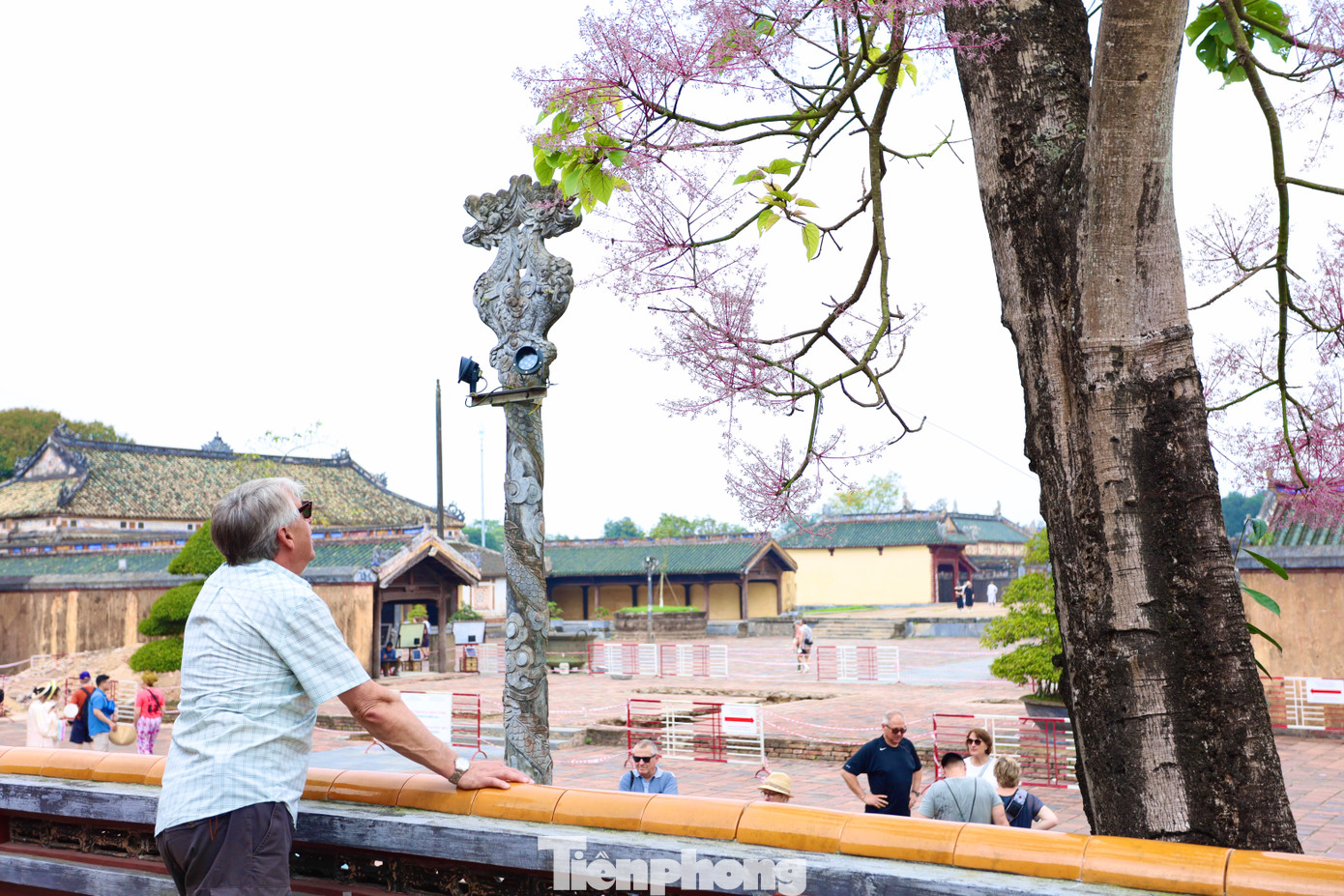 Tại Đại nội Huế - một điểm check-in không thể bỏ qua vào mùa ngô đồng nở, du khách vừa chiêm ngưỡng vẻ đẹp của loài hoa vương giả, đồng thời lưu giữ những khoảnh khắc đáng nhớ qua ống kính. Tại Đại nội Huế - một điểm check-in không thể bỏ qua vào mùa ngô đồng nở, du khách vừa chiêm ngưỡng vẻ đẹp của loài hoa vương giả, đồng thời lưu giữ những khoảnh khắc đáng nhớ qua ống kính.