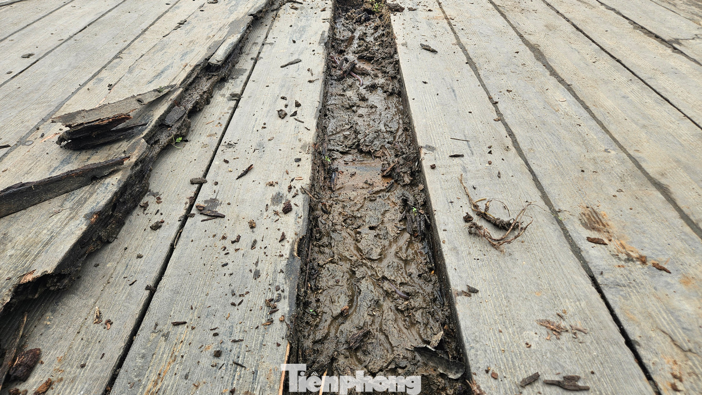 Theo ghi nhận, hàng loạt thanh gỗ trên mặt sàn bị mục nát, có những thanh gỗ bị đứt gãy, thậm chí một số đoạn đã có dấu hiệu lún, lõm, vênh hỏng. Phía dưới những thanh gỗ lát là lớp bùn đất đọng lại theo thời gian, trở thành nơi trú ngụ của giun đất.