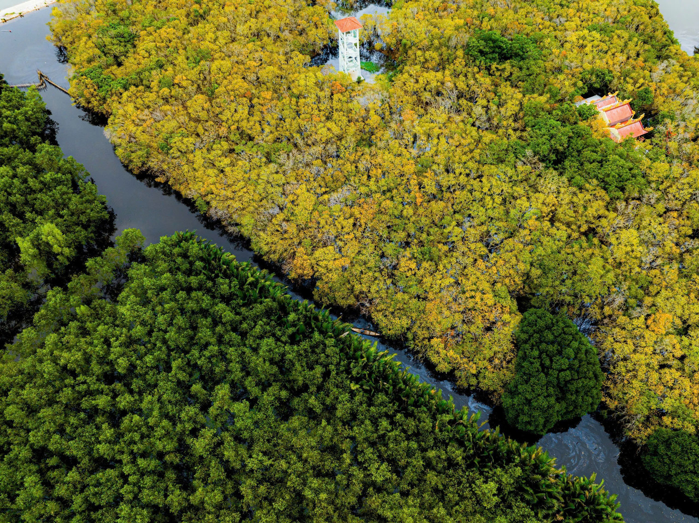 Một góc Rú Chá ở Huế. Một góc Rú Chá ở Huế.