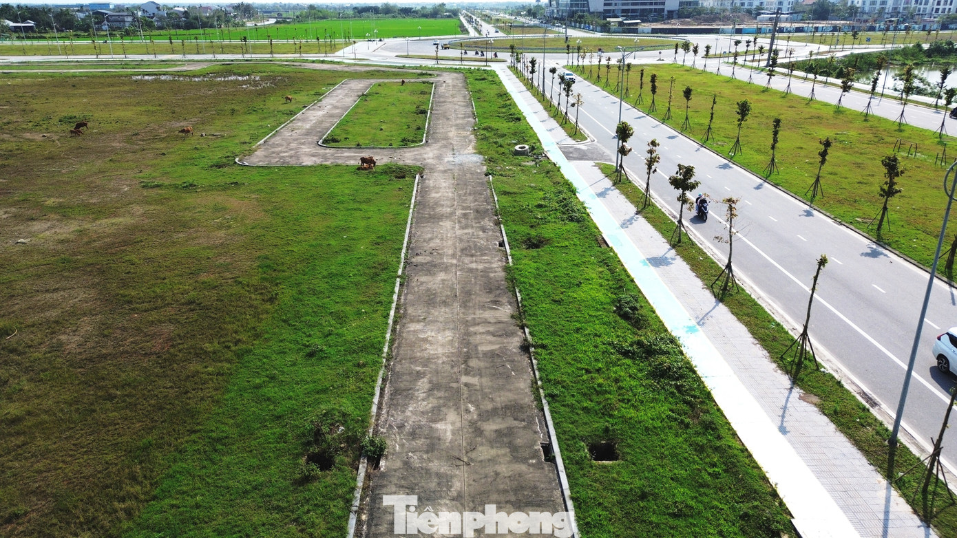 Theo ông Hà Xuân Hậu - Giám đốc BQLDA Đầu tư xây dựng và Phát triển đô thị TP Huế, do đơn vị không có thẩm quyền xử phạt nạn trâu bò thả rông, cùng các hành vi vi phạm môi trường trong công viên, khu vực cây xanh khu hành chính tập trung, mà chỉ được phép đẩy đuổi, nên rất khó xử lý triệt để. “Ban sẽ phát văn bản gửi chính quyền các phường An Đông, Xuân Phú yêu cầu phối hợp xử lý tình trạng trâu bò thả rông trong công viên và yêu cầu xử phạt nghiêm hành vi này. Chúng tôi cũng sẽ cử người thường xuyên kiểm tra, đẩy đuổi trâu bò ra khỏi công viên và khu vực cây xanh thuộc khu hành chính tập trung để bảo vệ môi trường, công trình công cộng tại đây”, ông Hậu cho hay. Theo ông Hà Xuân Hậu - Giám đốc BQLDA Đầu tư xây dựng và Phát triển đô thị TP Huế, do đơn vị không có thẩm quyền xử phạt nạn trâu bò thả rông, cùng các hành vi vi phạm môi trường trong công viên, khu vực cây xanh khu hành chính tập trung, mà chỉ được phép đẩy đuổi, nên rất khó xử lý triệt để. “Ban sẽ phát văn bản gửi chính quyền các phường An Đông, Xuân Phú yêu cầu phối hợp xử lý tình trạng trâu bò thả rông trong công viên và yêu cầu xử phạt nghiêm hành vi này. Chúng tôi cũng sẽ cử người thường xuyên kiểm tra, đẩy đuổi trâu bò ra khỏi công viên và khu vực cây xanh thuộc khu hành chính tập trung để bảo vệ môi trường, công trình công cộng tại đây”, ông Hậu cho hay.