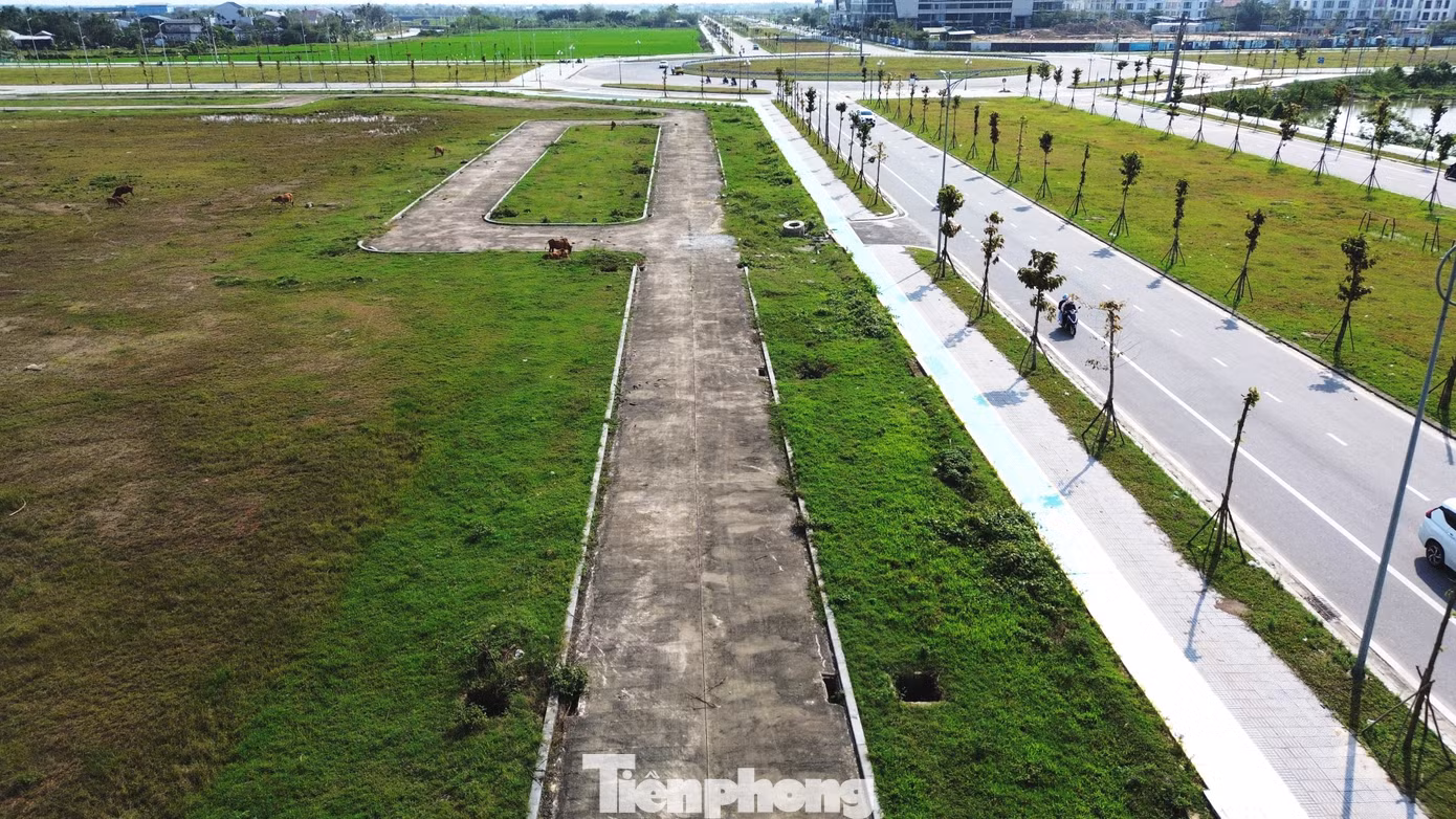 Theo ông Hà Xuân Hậu - Giám đốc BQLDA Đầu tư xây dựng và Phát triển đô thị TP Huế, do đơn vị không có thẩm quyền xử phạt nạn trâu bò thả rông, cùng các hành vi vi phạm môi trường trong công viên, khu vực cây xanh khu hành chính tập trung, mà chỉ được phép đẩy đuổi, nên rất khó xử lý triệt để. “Ban sẽ phát văn bản gửi chính quyền các phường An Đông, Xuân Phú yêu cầu phối hợp xử lý tình trạng trâu bò thả rông trong công viên và yêu cầu xử phạt nghiêm hành vi này. Chúng tôi cũng sẽ cử người thường xuyên kiểm tra, đẩy đuổi trâu bò ra khỏi công viên và khu vực cây xanh thuộc khu hành chính tập trung để bảo vệ môi trường, công trình công cộng tại đây”, ông Hậu cho hay. Theo ông Hà Xuân Hậu - Giám đốc BQLDA Đầu tư xây dựng và Phát triển đô thị TP Huế, do đơn vị không có thẩm quyền xử phạt nạn trâu bò thả rông, cùng các hành vi vi phạm môi trường trong công viên, khu vực cây xanh khu hành chính tập trung, mà chỉ được phép đẩy đuổi, nên rất khó xử lý triệt để. “Ban sẽ phát văn bản gửi chính quyền các phường An Đông, Xuân Phú yêu cầu phối hợp xử lý tình trạng trâu bò thả rông trong công viên và yêu cầu xử phạt nghiêm hành vi này. Chúng tôi cũng sẽ cử người thường xuyên kiểm tra, đẩy đuổi trâu bò ra khỏi công viên và khu vực cây xanh thuộc khu hành chính tập trung để bảo vệ môi trường, công trình công cộng tại đây”, ông Hậu cho hay.