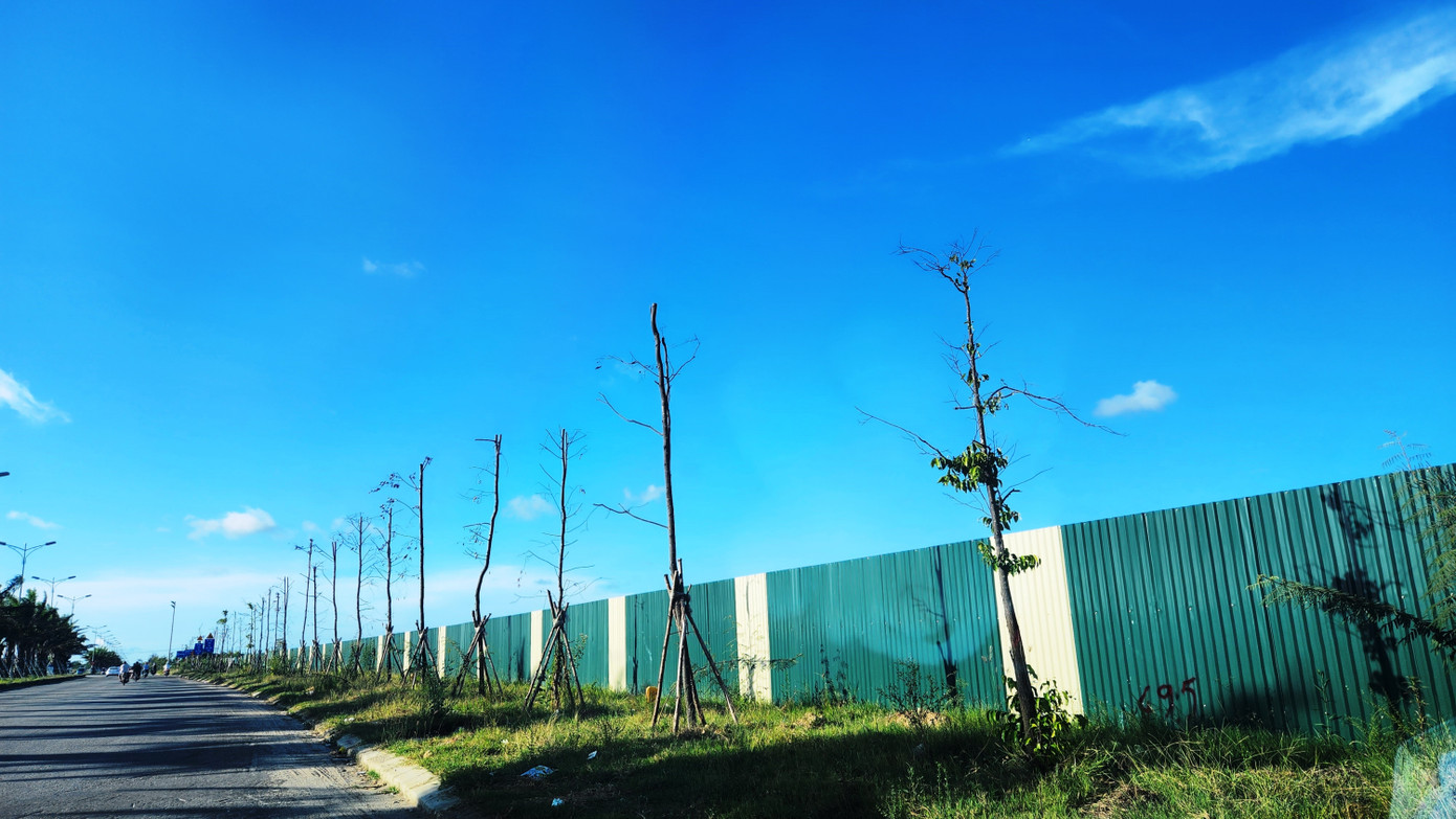 Tuy nhiên, sau một thời gian trồng hoàn trả về vị trí cũ, hàng loạt cây sao đen xuất hiện tình trạng héo rũ, còi cọc, khô chết dần. Tuy nhiên, sau một thời gian trồng hoàn trả về vị trí cũ, hàng loạt cây sao đen xuất hiện tình trạng héo rũ, còi cọc, khô chết dần.