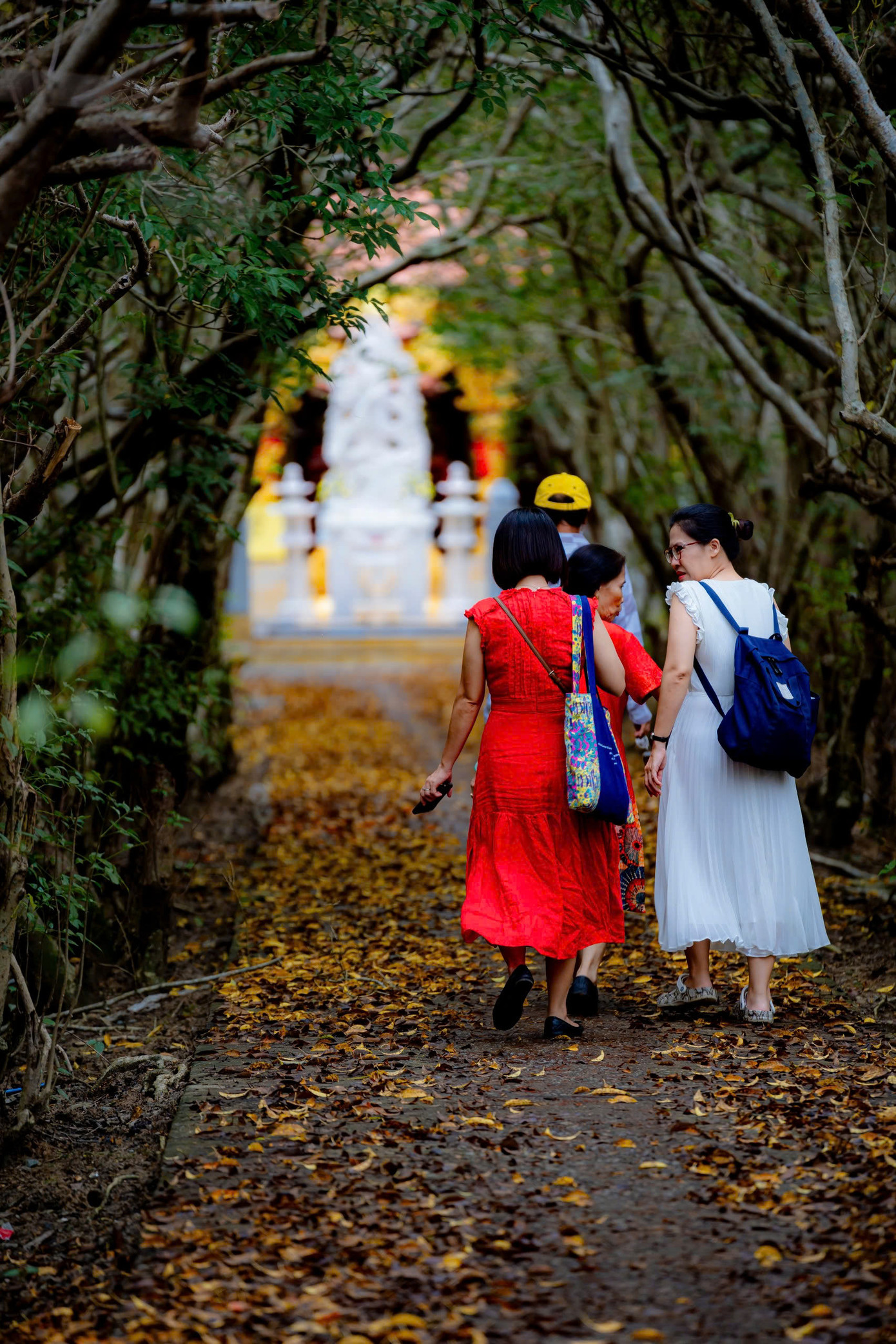 Rú Chá là địa chỉ thu hút nhiều du khách, đặc biệt là vào mùa cây giá thay lá. Rú Chá là địa chỉ thu hút nhiều du khách, đặc biệt là vào mùa cây giá thay lá.