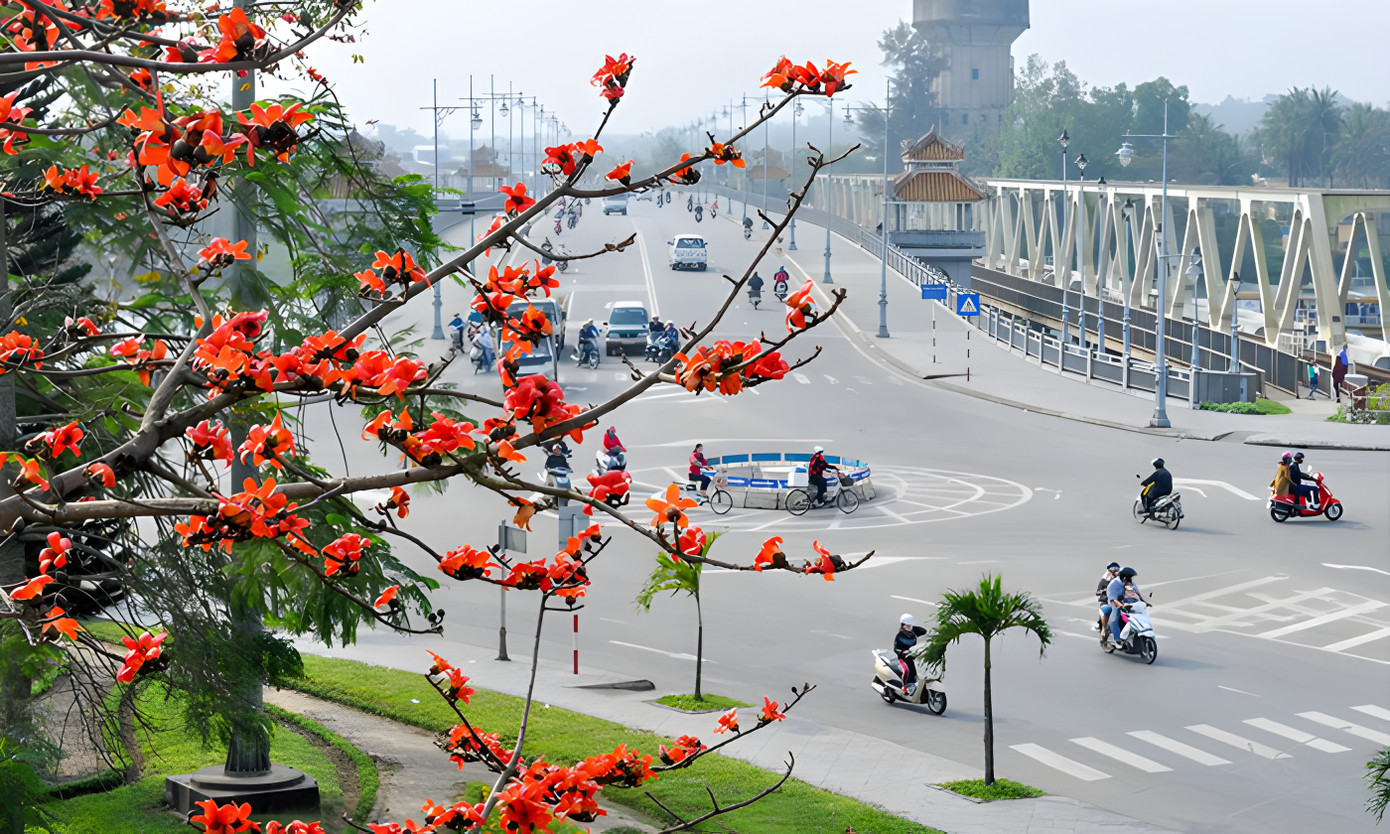 Mùa hoa gạo tại Huế kéo dài đến hết tháng ba, qua đầu tháng tư, trước khi tiết trời bước vào một mùa hè đầy nắng nóng. Ảnh: Đăng Tuyên