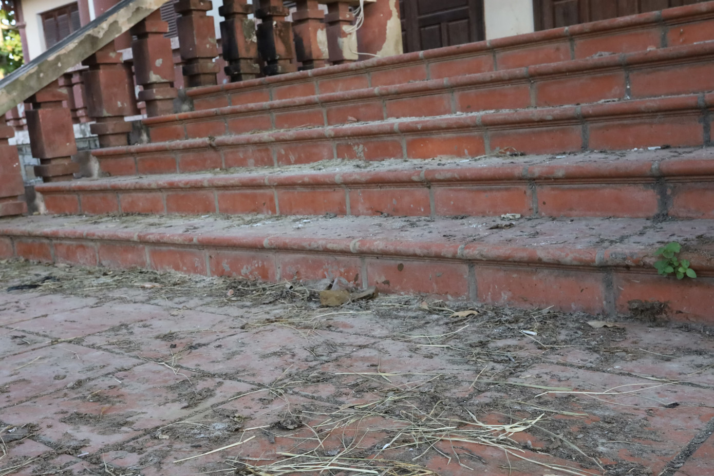 Cửa chính khu nhà truyền thống đóng im lìm, trước hiên vương vãi phân bò. Bên trong nhà trưng bày, các hiện vật nằm lăn lóc, bàn ghế mốc meo, tủ kính trống rỗng, bụi bặm phủ dày.