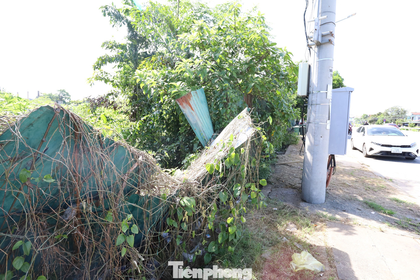 Đến nay, khu đất tại dự án “nửa vời” này đã được UBND TP Huế ra quyết định thu hồi và giao cho Trung tâm Phát triển quỹ đất thành phố quản lý. Tuy nhiên, hiện nhà đầu tư cũ là Công ty TNHH Hoàng Phú vẫn chưa bàn giao mặt bằng, khiến việc xử lý tài sản và tái kêu gọi đầu tư cũng như khởi động dự án mới tiếp tục bị đình trệ.