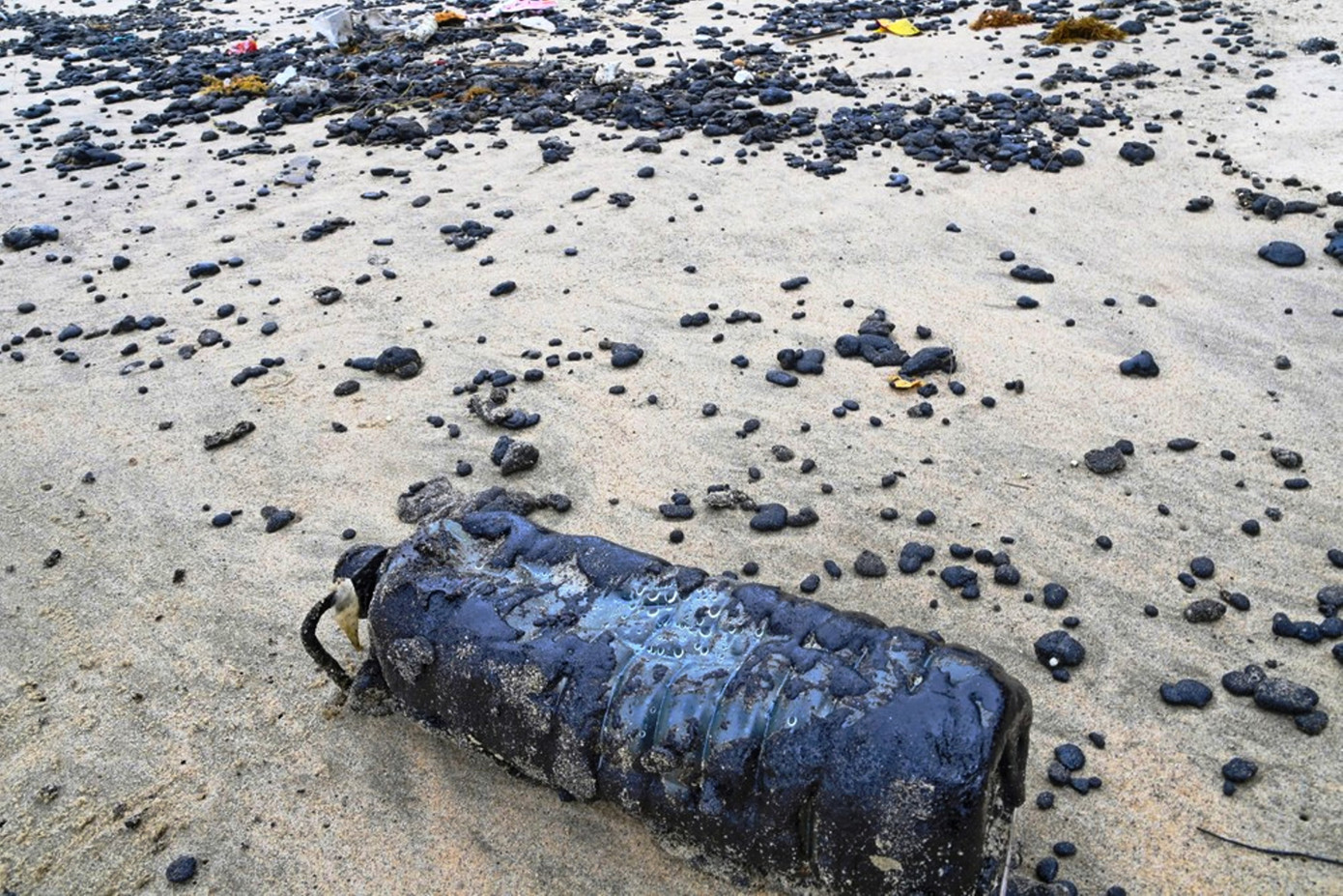 Dầu vón cục dạt vào bờ biển TP. Huế với số lượng hơn 200 tấn đến nay đã được thu gom xong. Dầu vón cục dạt vào bờ biển TP. Huế với số lượng hơn 200 tấn đến nay đã được thu gom xong.