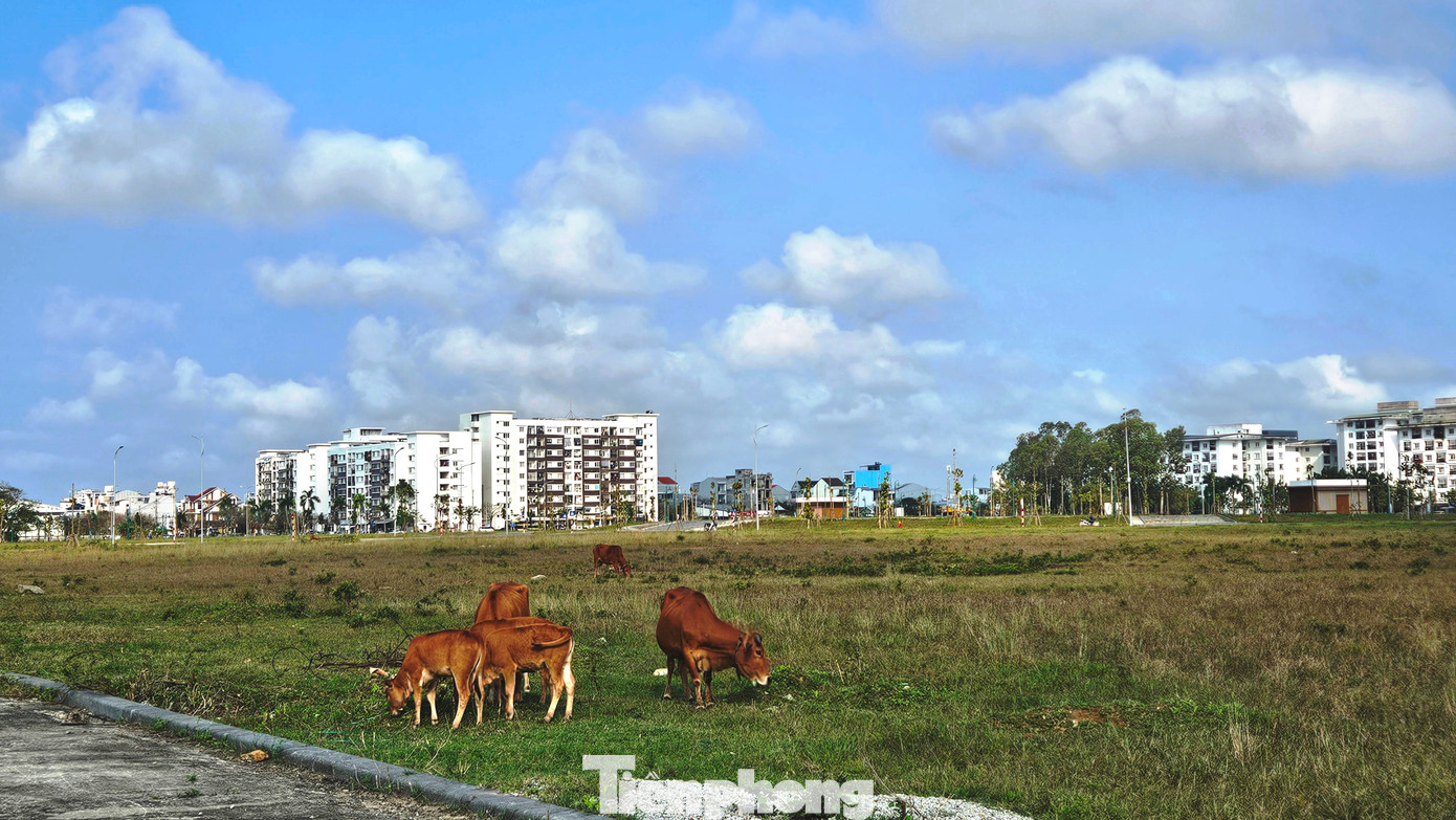 Nơi đây hiện còn được người dân địa phương dùng làm bãi chăn thả gia súc. Nơi đây hiện còn được người dân địa phương dùng làm bãi chăn thả gia súc.