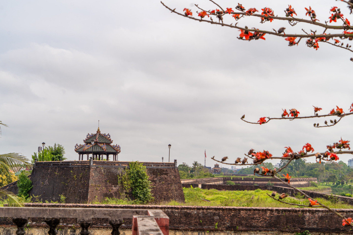Những ngày này, khi nhiều vườn mai vàng đặc trưng xứ Huế đã qua giai đoạn mãn khai, bắt đầu đâm chồi nảy lộc, phát triển cành lá, thì nhiều cây hoa gạo lại đua nở, khoe sắc hoa rực đỏ cả một góc trời. Ảnh: Bảo Minh