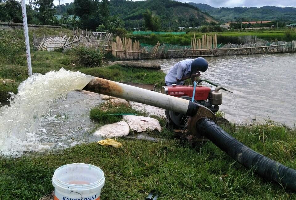 Huế nắng nóng kỷ lục, dân chắt gạn từng khối nước cứu lúa ảnh 4