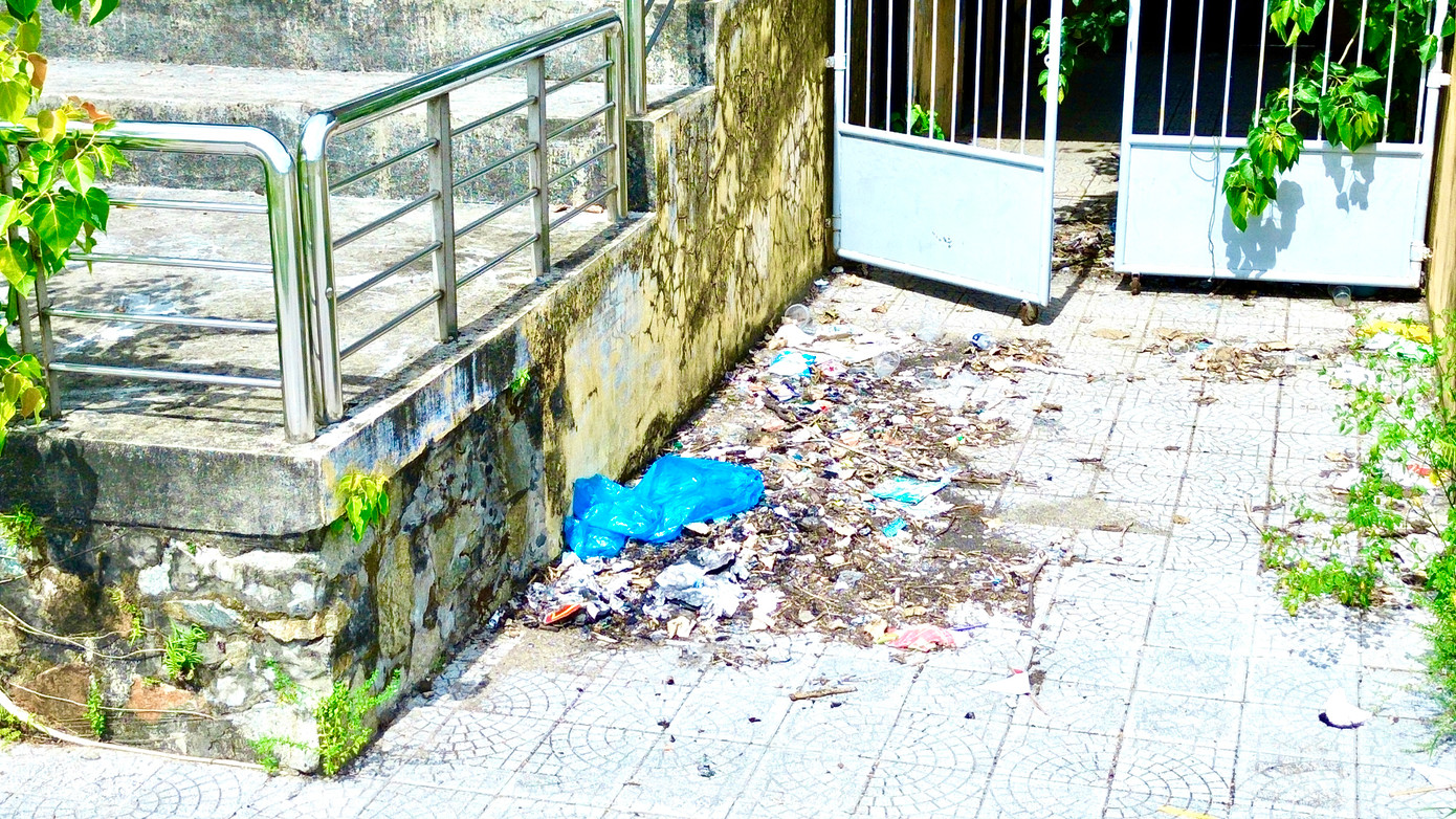 Theo thời gian, nơi đây phủ đầy cỏ dại, trở thành bãi chăn thả trâu bò của người dân địa phương.