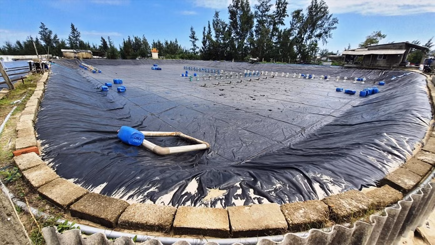 Ao hồ nuôi tôm tại xã Phong Hải (huyện Phong Điền) trước khi bước vào vụ mới.