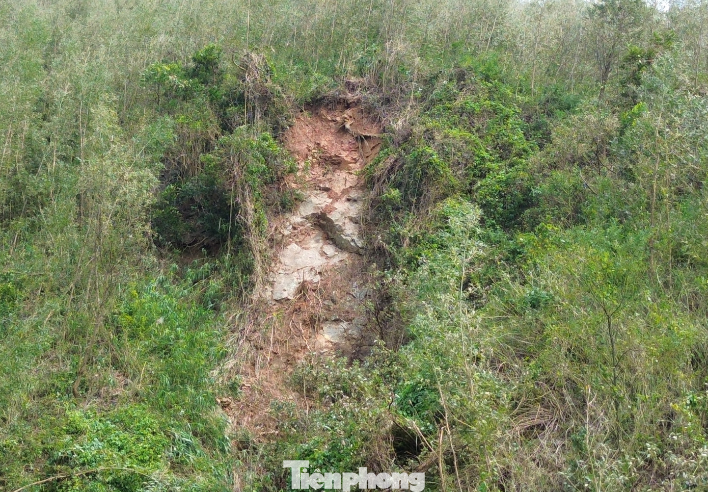 Thực tế cho thấy, trong những đợt mưa lớn cuối tháng 10 vừa qua, núi Phú Gia lại xuất hiện thêm 2 điểm sạt trượt đất mới. “Người dân sinh sống ở đây hết sức lo lắng, sạt lở tiếp diễn, trong khi cường suất nổ mìn khai thác đá diễn ra 3 lần trong một tuần làm gia tăng nguy cơ rất cao về nứt núi, lở đất. Người dân hiện vẫn chưa thể di dời, nhưng sinh sống ở đây lại phải thường xuyên đối mặt với nguy hiểm do thiên tai gây ra”, anh Nguyễn Văn Hợi lo lắng.