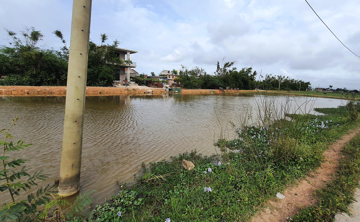 Một phần khu đất bán đấu giá quyền sử dụng tại tại thôn Thuận Hòa, xã Hương Phong, hiện vẫn là vùng ao hồ ngập nước