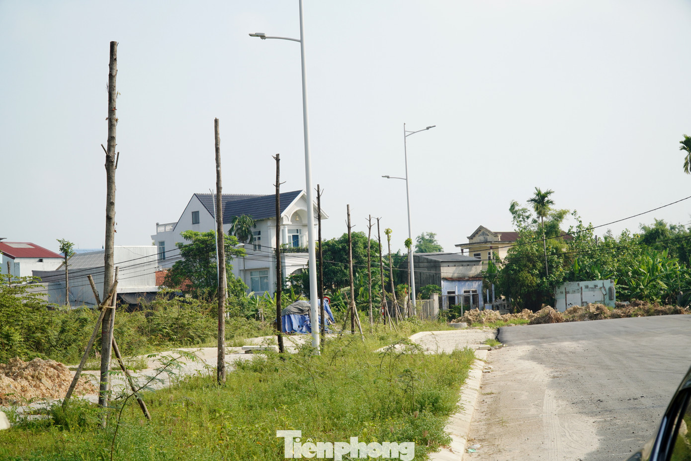 Cụm cây xanh hơn chục gốc mới trồng nối tiếp nhau chết khô tại đoạn đường Võ Nguyên Giáp (phường An Đông, Huế). Cụm cây xanh hơn chục gốc mới trồng nối tiếp nhau chết khô tại đoạn đường Võ Nguyên Giáp (phường An Đông, Huế).