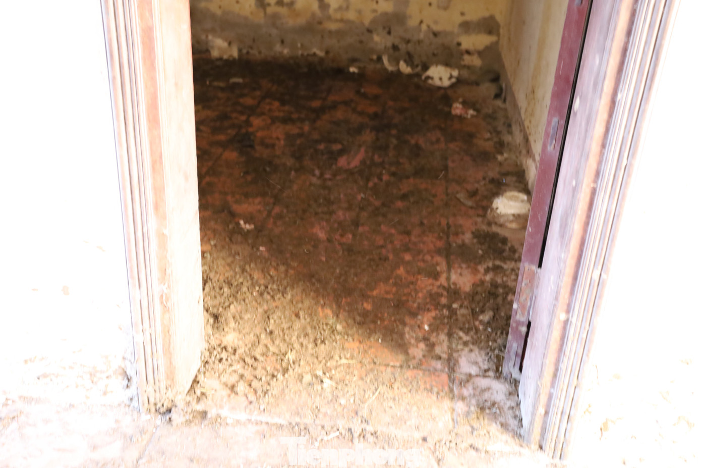 Công trình từng được thiết kế đầy đủ hệ thống chiếu sáng, bãi đỗ xe, văn phòng làm việc… nhằm làm nơi trưng bày, giới thiệu tinh hoa nghề đúc đồng truyền thống vang danh xứ Huế, nhưng nay biến dạng thành nơi nhốt giữ bò, với mùi xú uế từ chất thải gia súc bốc lên nồng nặc gây ô nhiễm môi trường.