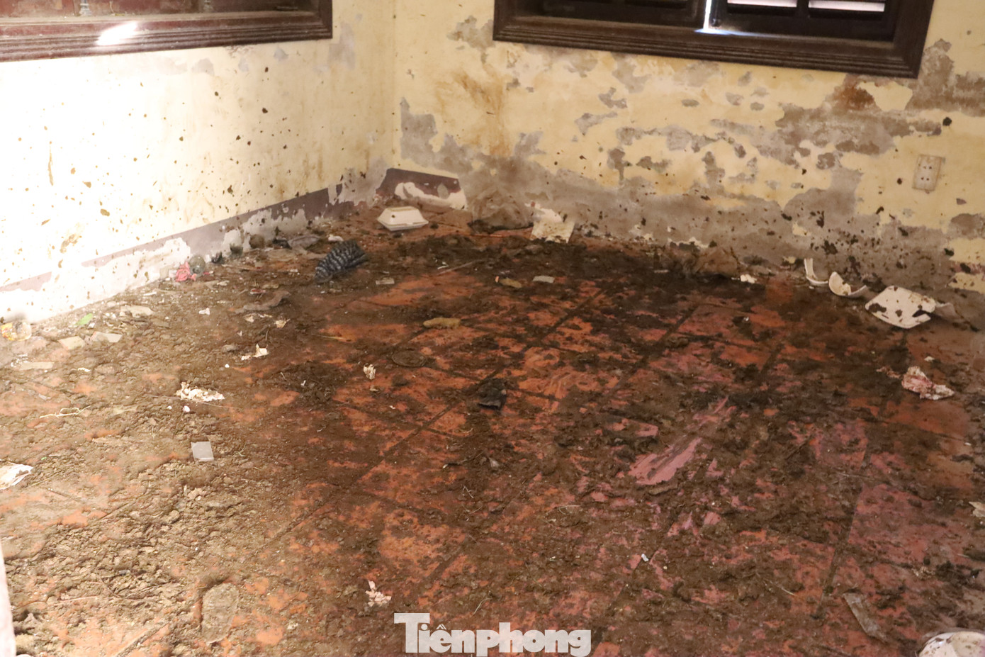 Công trình từng được thiết kế đầy đủ hệ thống chiếu sáng, bãi đỗ xe, văn phòng làm việc… nhằm làm nơi trưng bày, giới thiệu tinh hoa nghề đúc đồng truyền thống vang danh xứ Huế, nhưng nay biến dạng thành nơi nhốt giữ bò, với mùi xú uế từ chất thải gia súc bốc lên nồng nặc gây ô nhiễm môi trường.