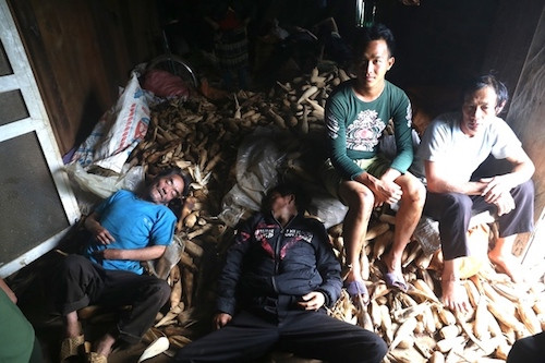 Người dân Hà Giang: 'Lũ trùm kín nóc nhà nhanh chưa từng thấy' ảnh 2