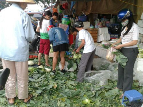 Su hào cháy hàng. Ảnh D.T