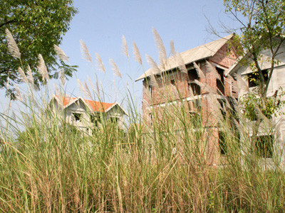 Đốt tiền, chôn chân ở vùng đất mới Mê Linh. (Ảnh D.A). Đốt tiền, chôn chân ở vùng đất mới Mê Linh. (Ảnh D.A)