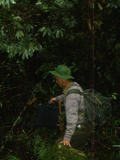 Ông Lâm phải luồn lách khắp hang sâu núi thẳm để tìm thuốc quý tự cứu mình 