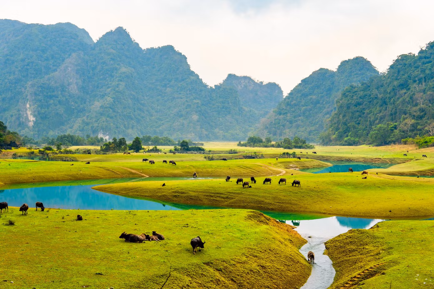 Toàn cảnh bức tranh thảo nguyên thu nhỏ qua góc chụp của con người. Ảnh: Hùng Vĩ.