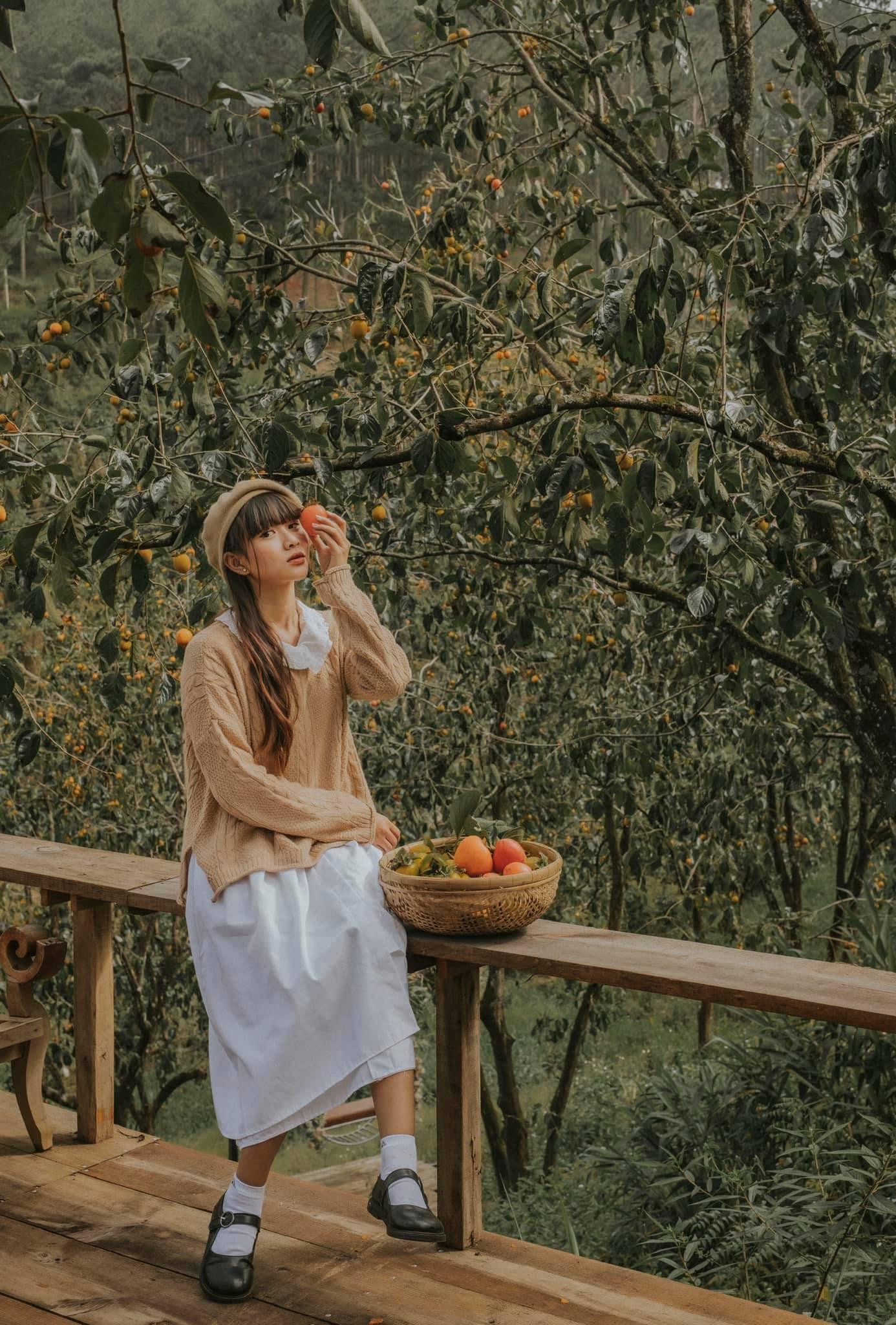 Những bức ảnh lung linh được các bạn trẻ check-in tại vườn hồng. Ảnh: Group &quot;Thổ địa Đà Lạt&quot;