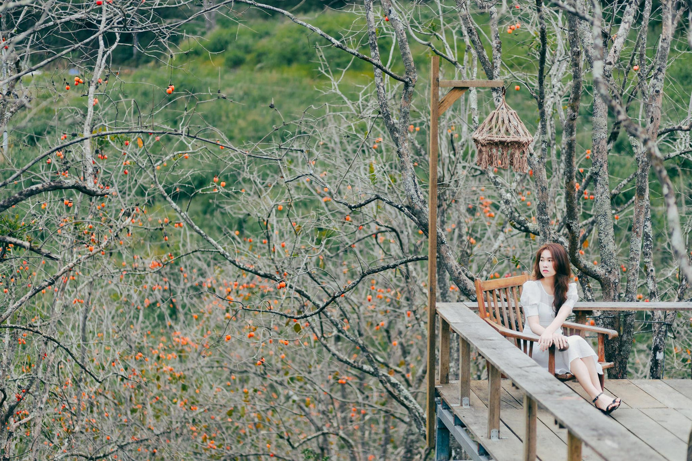 Cảnh đẹp nên thơ với sắc màu trầm ấm tại vườn hồng Đà Lạt. Nguồn: Group &quot;Thổ địa Đà Lạt&quot;