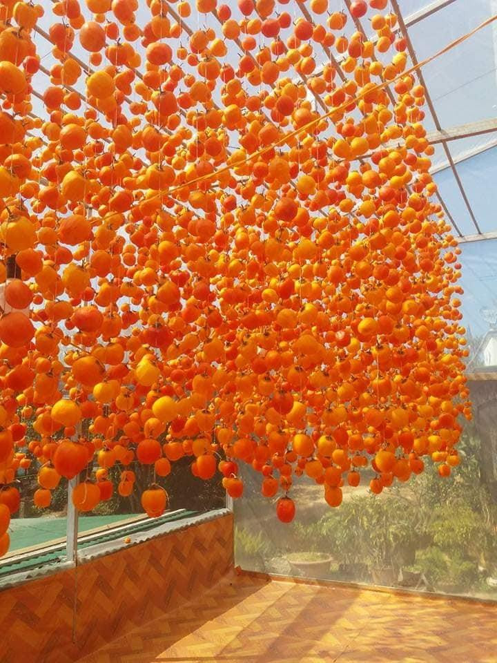 Thức quà đặc sản hồng treo gió được giới trẻ ưu chuộng trong thời gian gần đây. Ảnh: Internet