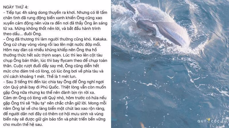 Chuyến hành trình 4 ngày đi tìm Cá Ông được Hải An chia sẻ chi tiết. - Nguồn: Facebook Ngô Trần Hải An