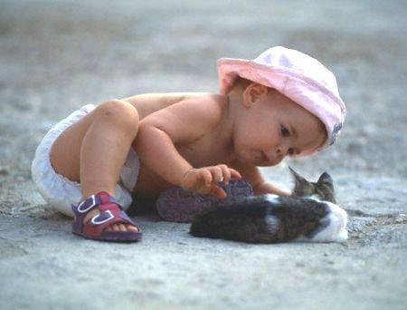 Ảnh: minh họa - Internet Ảnh: minh họa - Internet