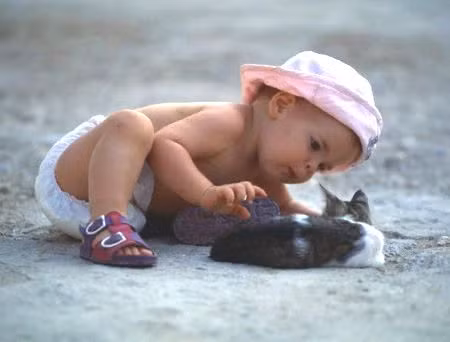 Ảnh: minh họa - Internet