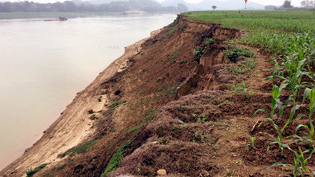 Cả làng đánh kẻng xua "cát tặc" ảnh 1
