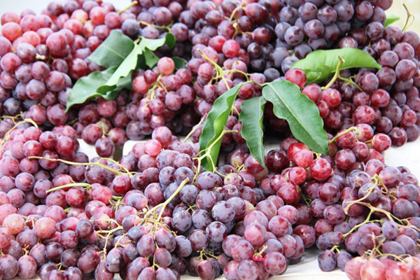 qua-nho-4631-1439783358.jpg