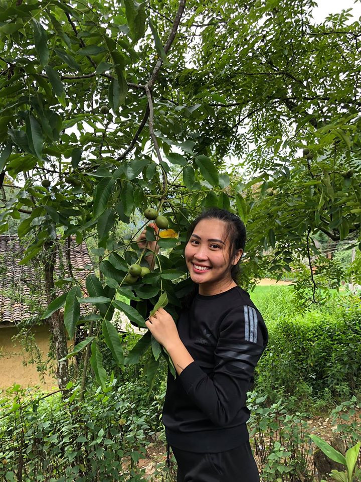 Hòa giới thiệu sản phẩm mắc ca Hà Giang, giúp bà con giải cứu nông sản. Hòa giới thiệu sản phẩm mắc ca Hà Giang, giúp bà con giải cứu nông sản.