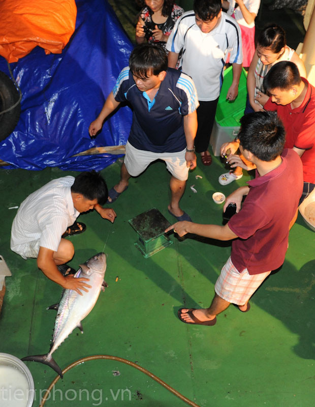Mỗi lần một con cá được câu lên, nhiều thành viên trong đoàn lại trầm trồ và xôn xao đoán cân nặng của cá. Mỗi lần một con cá được câu lên lại khiến nhiều thành viên trong đoàn hành trình trầm trồ, và xôn xao đoán cân nặng của cá