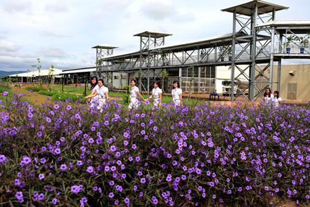 Nhà máy đẹp như công viên