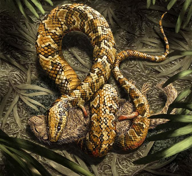 Mô phỏng loài rắn bốn chân