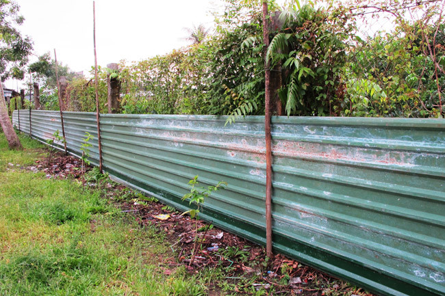 Hàng rào khoanh vùng chặn cá sấu