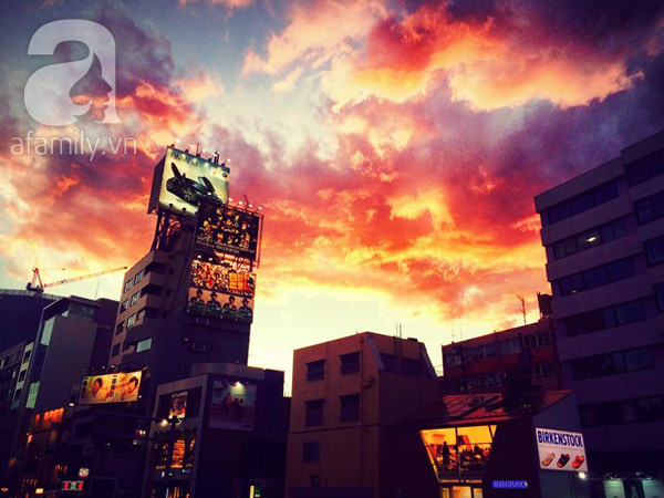 Trải nghiệm những “góc khuất” Nhật Bản qua lăng kính một du học sinh Việt ảnh 13