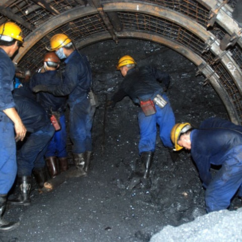 TKV kỳ vọng lợi nhuận tăng 1.000 tỷ đồng ảnh 2