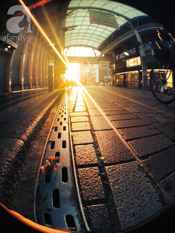 Trải nghiệm những “góc khuất” Nhật Bản qua lăng kính một du học sinh Việt ảnh 1