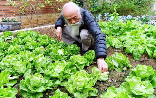 'Pháp sư vĩ đại Dumbledore' của Lương Thế Vinh ảnh 6