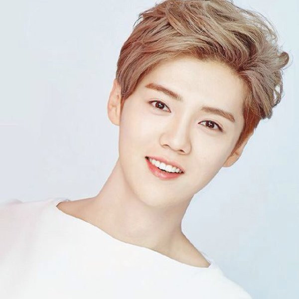 Luhan là ai mà khiến các fan tự tử sau khi công bố bạn gái? ảnh 1