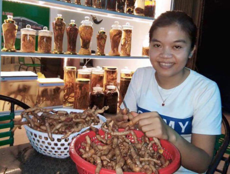 Những công chức trẻ bỏ biên chế về nhà buôn gà, bán rau ảnh 1