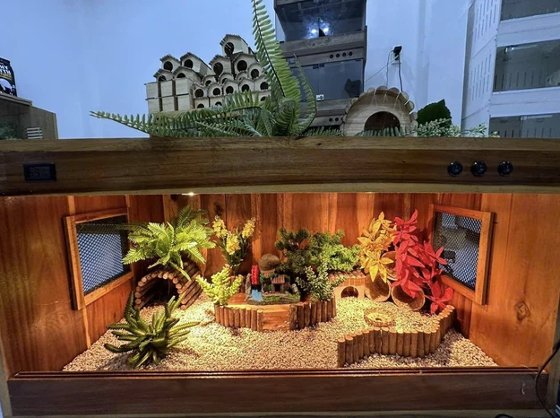 Một chuồng nuôi gà Rutin cơ bản.