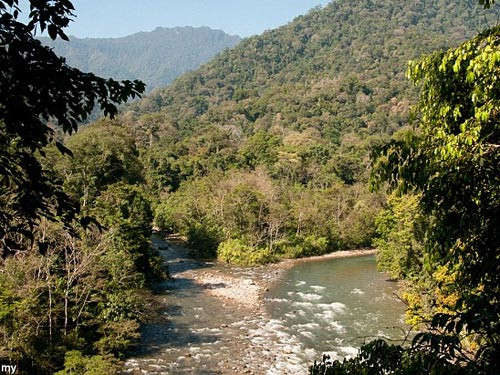 Vườn quốc gia Núi Leuser. Ảnh: Alamy